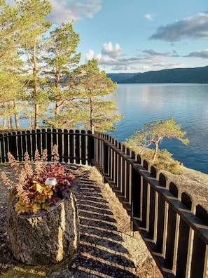 Property grounds - Cabin with a fantastic location by Nisser (Nissedal)