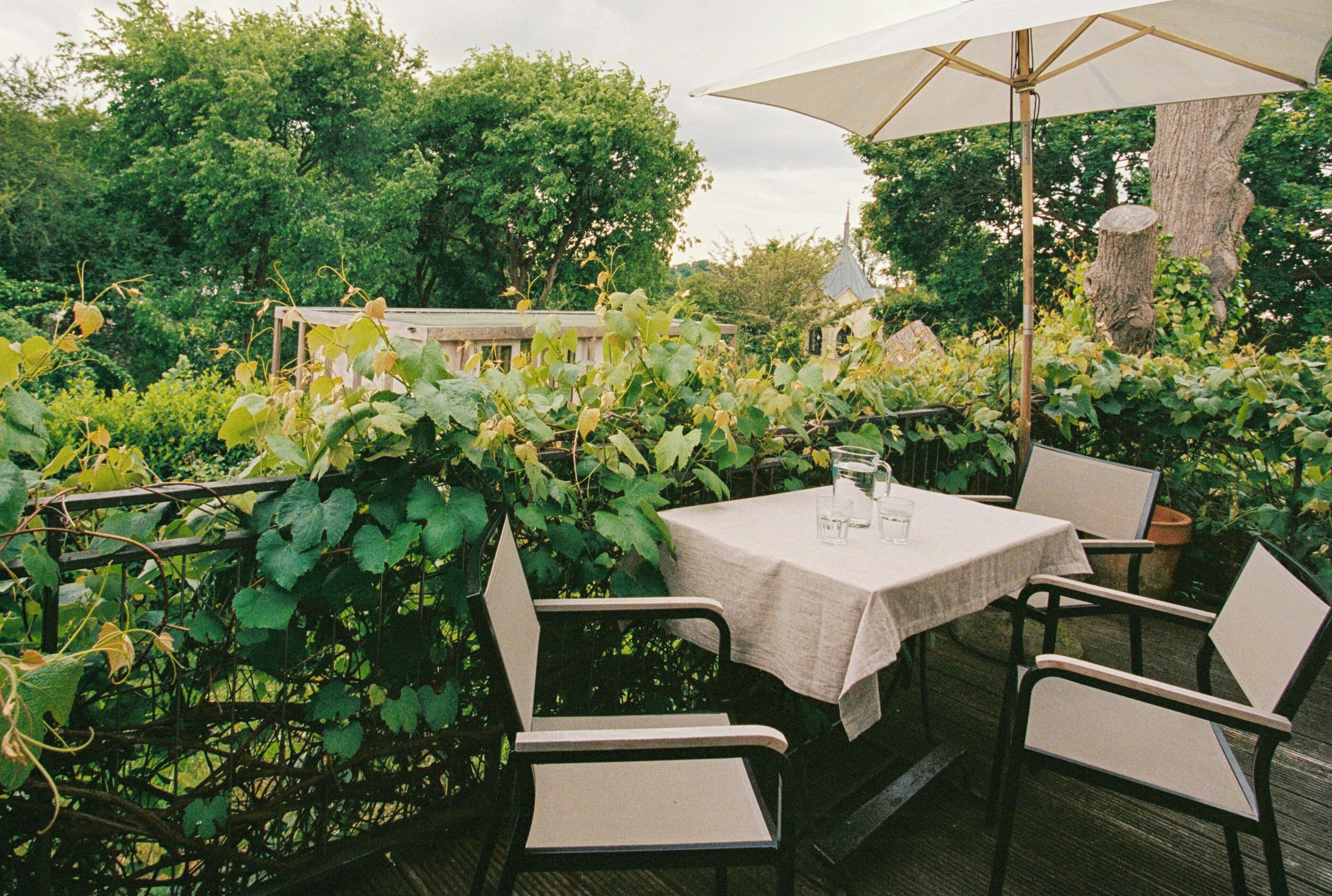 Un patio al aire libre con una mesa y sillas, rodeado de follaje y un árbol.