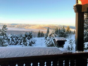 Schneebedeckte Landschaft mit einer Hütte und Bäumen.