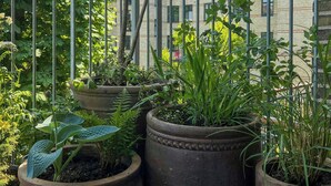 A balcony with potted plants, a metal railing, and a view of a building with windows and balconies.