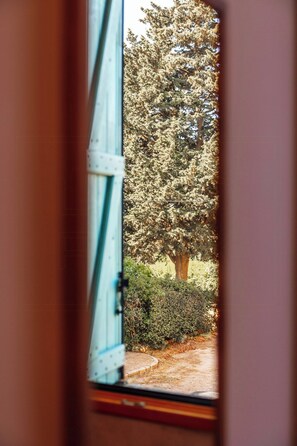 Ein Fenster mit Blick auf einen Baum und einen Weg.