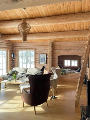 Fernseher, Kamin