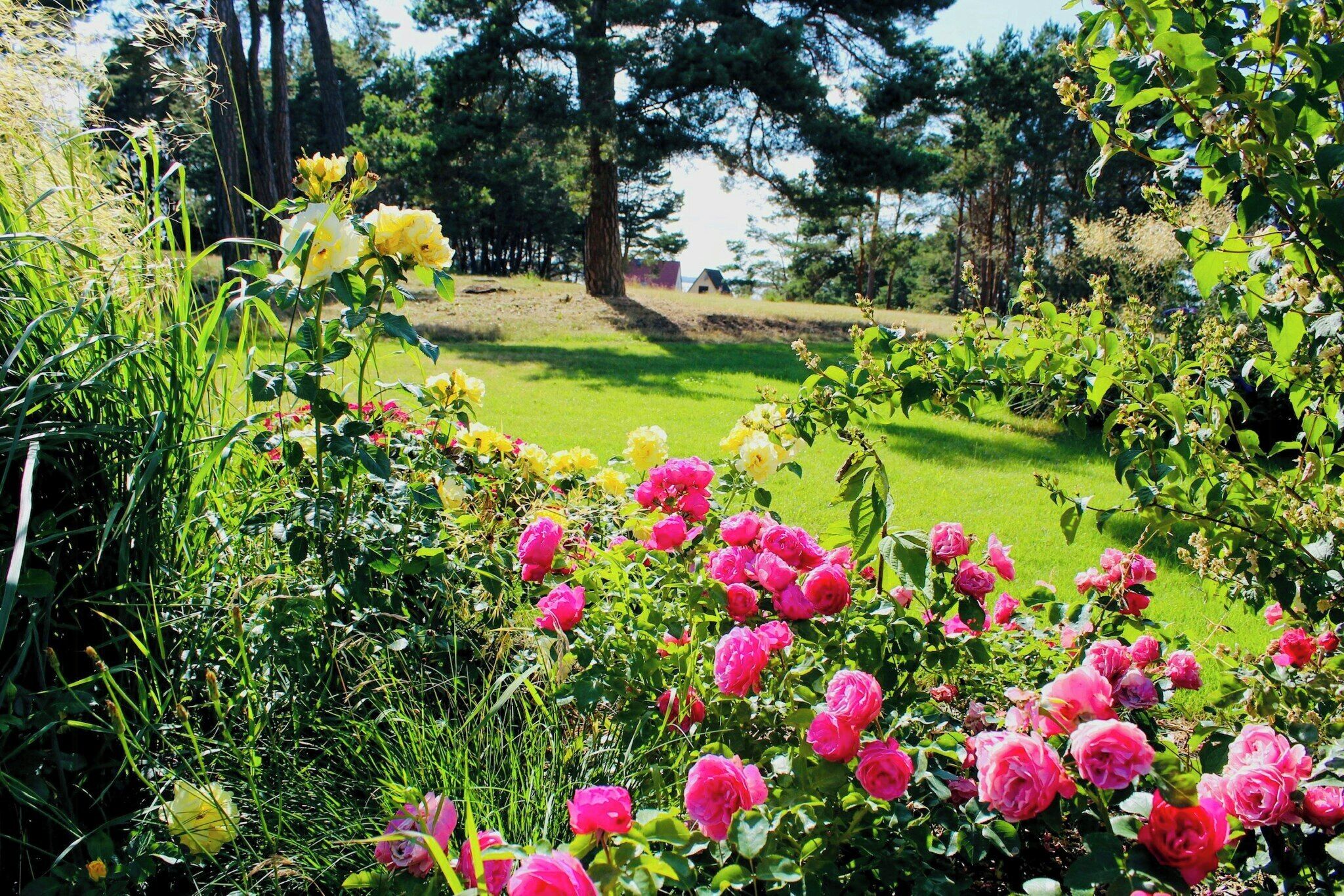Um jardim com diversas flores e árvores.