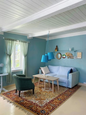 A living room with a blue sofa, a patterned rug, a hanging light fixture, and a small table.