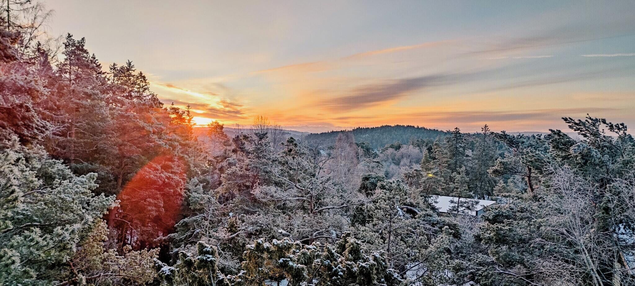 A forested landscape with a sunset.