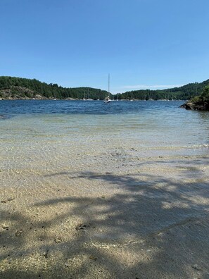 Une plage à l’eau claire, un voilier à l’horizon et une colline boisée.