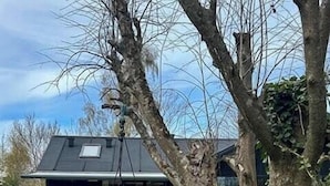 Ein modernes Haus mit Schaukel im Garten.