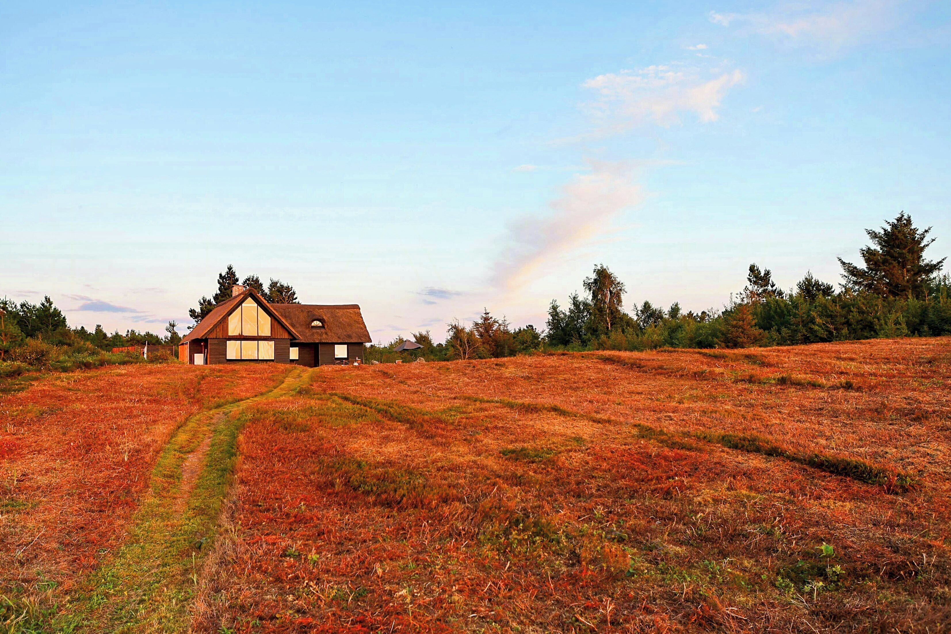 Een huis met rieten dak, omringd door een veld met een zichtbaar pad ernaartoe.