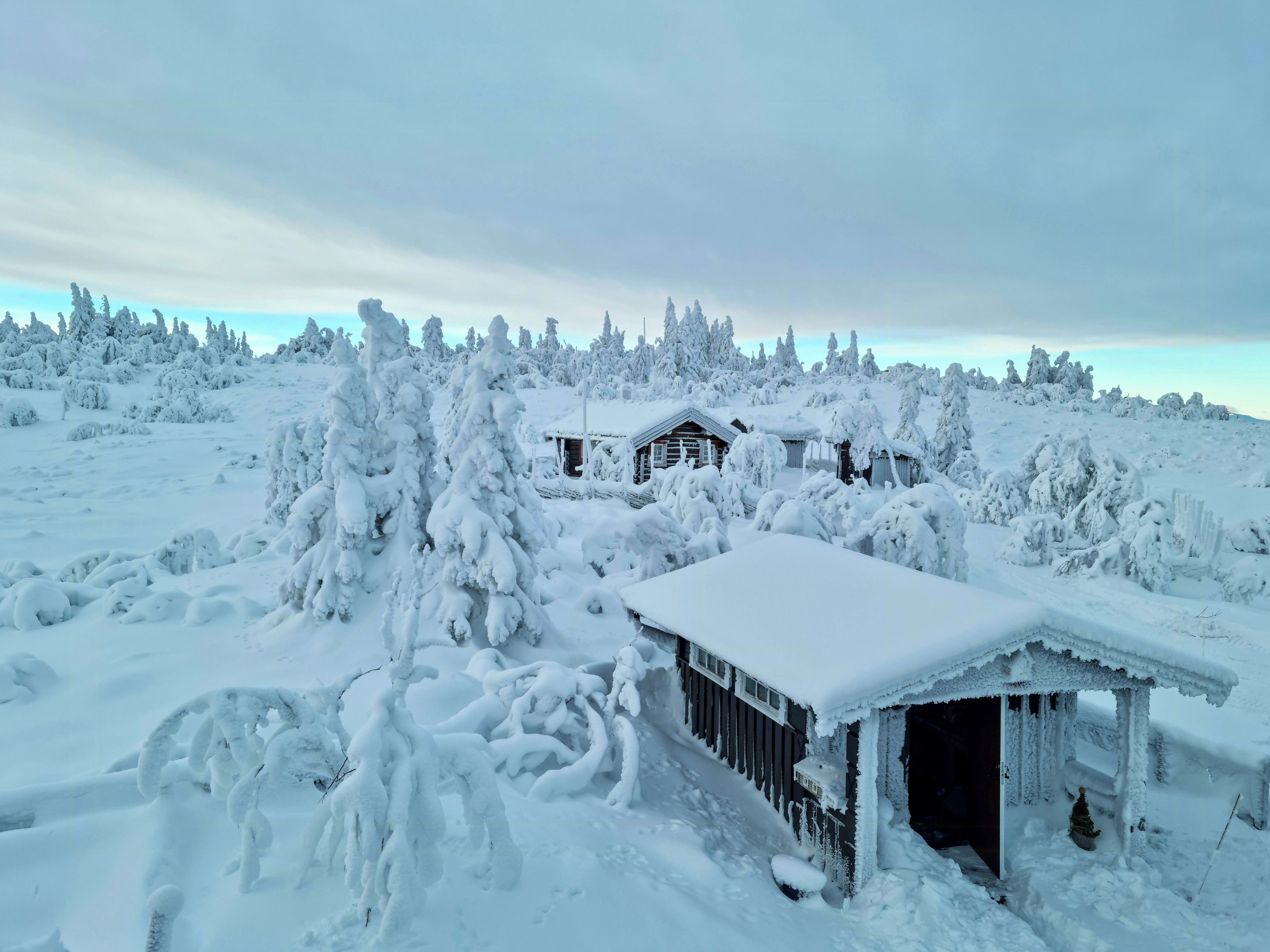 A snow-covered landscape with a wooden cabin and a small shed.