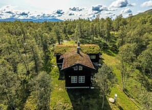 Eksteriør