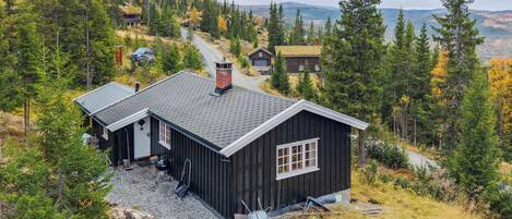Eksteriør