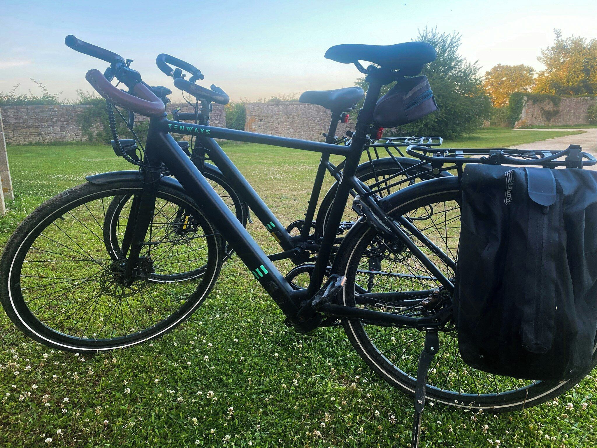 Ein Fahrrad mit schwarzer Tasche, befestigt am Gepäckträger, steht auf der Wiese.
