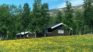 Unclassified image, 2 of 14, button - Simple mountain cabin near Vinstra (Vinstra)