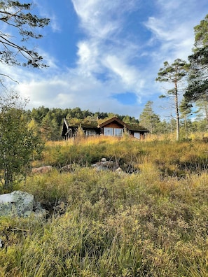 Una cabana amb façana de fusta, envoltada d'herba alta i arbres, sota un cel serè.