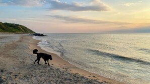 A beach with a dog walking along the shore, a rocky outcrop, and a distant hill. - Artistic holiday home near Tisvilde Hegn (Vejby)
