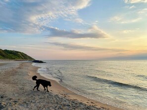 A beach with a dog walking along the shore, a rocky outcrop, and a distant hill. - Artistic holiday home near Tisvilde Hegn (Vejby)