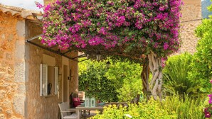 Un bâtiment en pierre doté d’un balcon, d’un espace extérieur aménagé pour s’asseoir et d’un jardin luxuriant parsemé de plantes à fleurs.