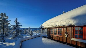Property grounds - Cottage with sauna near ski trails in Sjusjøen (Sjusjøen)
