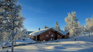 Exterior - Cottage with sauna near ski trails in Sjusjøen (Sjusjøen)