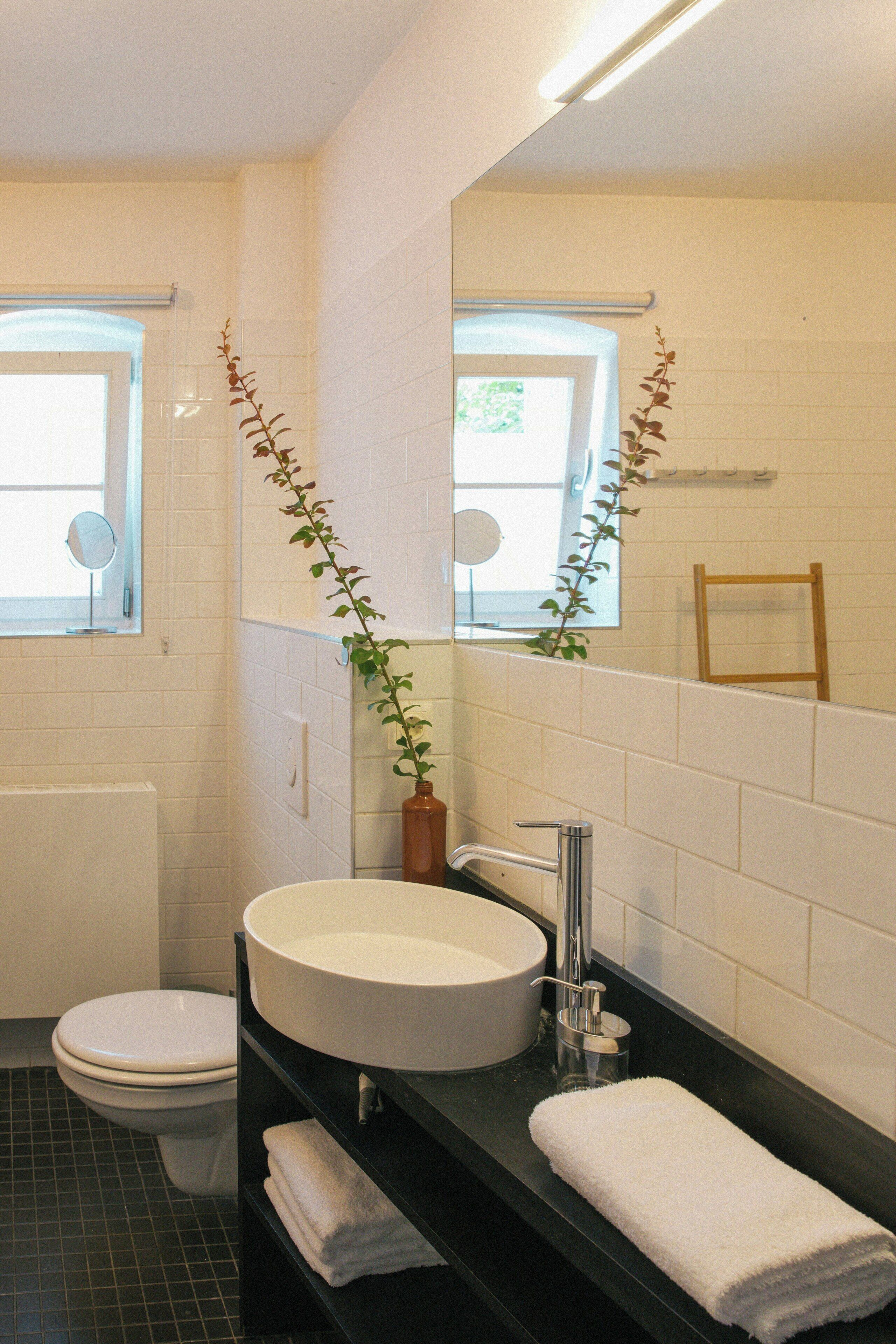 Een badkamer met toilet, wastafel, spiegel en een plant in pot.