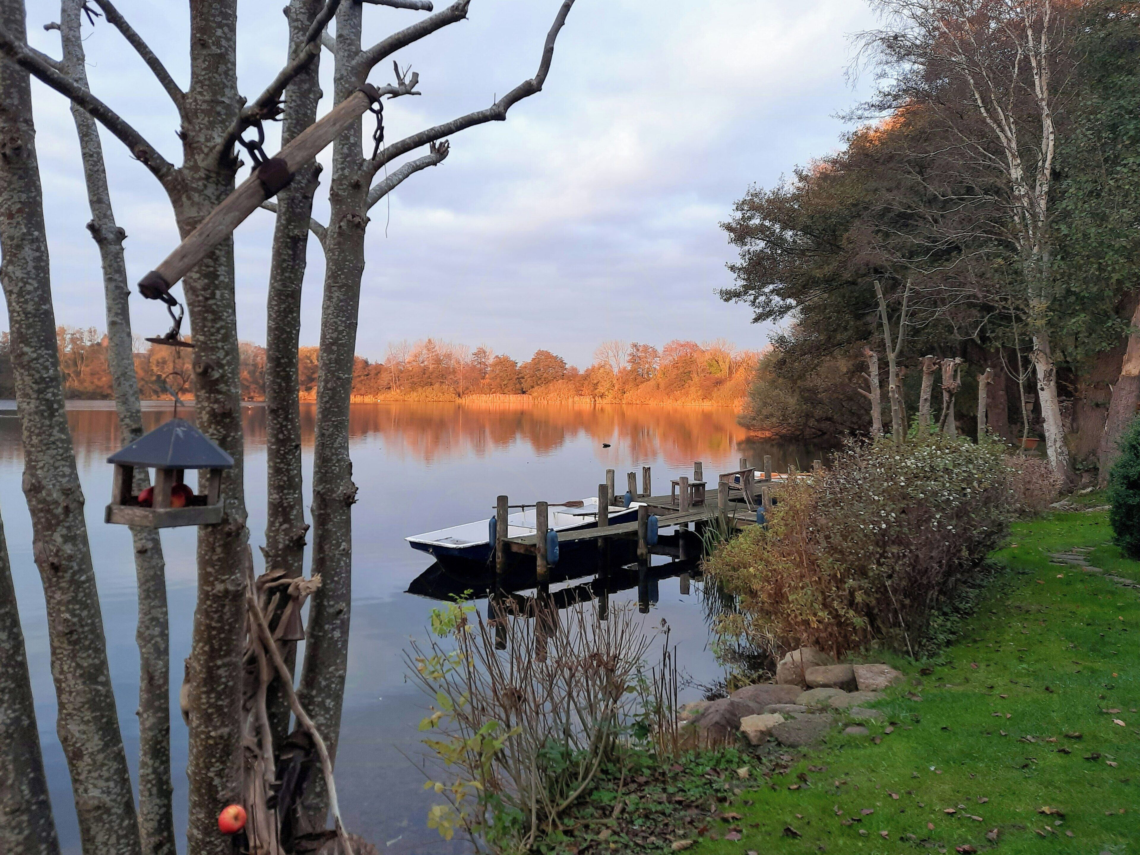 A tranquil lakeside scene with a dock, trees, and a bird feeder.