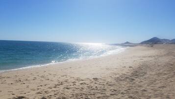On the beach, sun loungers, beach towels