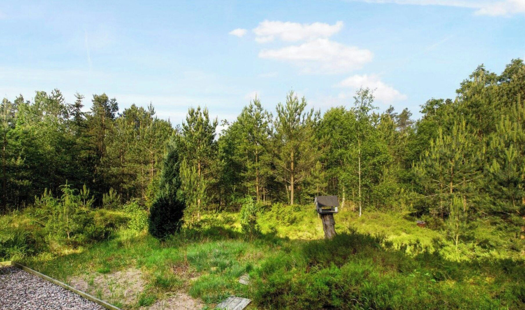 Een bebost gebied met een kleine constructie, mogelijk een hutje of schuilplaats, omringd door dichte bomen en begroeiing.