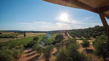 Eine Weinlandschaft mit blauem Himmel und Sonnenschein.