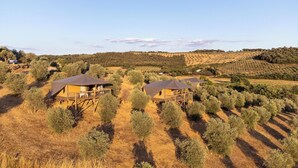 Two wooden cabins with sloped roofs, surrounded by olive groves and dry grassland, under a clear sky. - Glamping Podere San Jacopo (Massa Marittima)