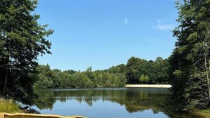 Una panchina di legno vicino a un lago, con uno sfondo erboso e alberi sullo sfondo.