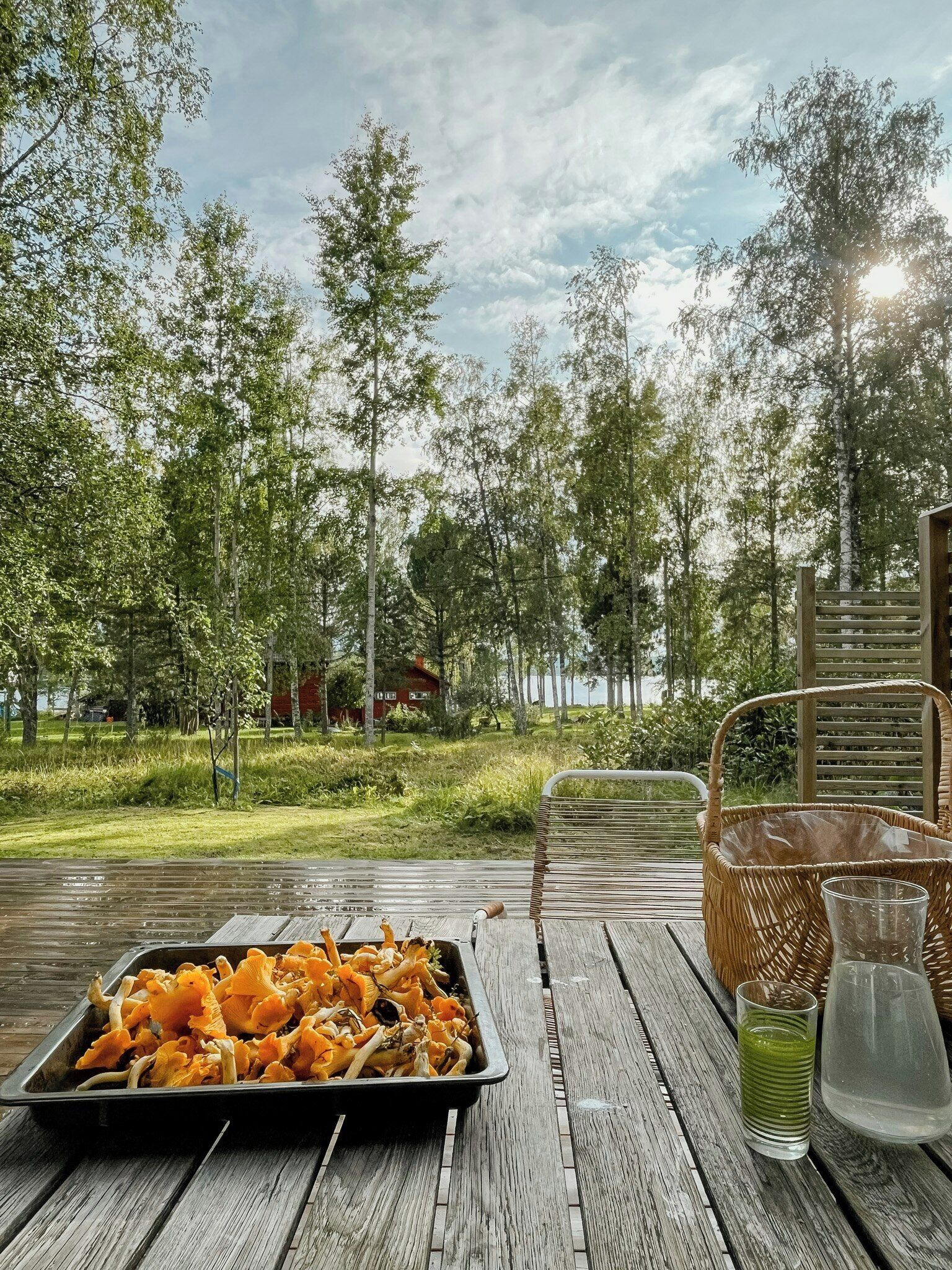 Terrasse/patio