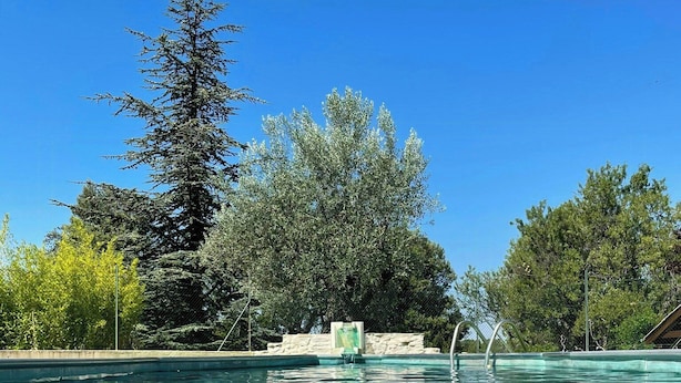 Ein klares Schwimmbecken mit Blick auf Bäume und ein Gebäude im Hintergrund.