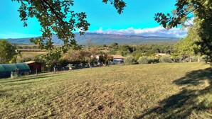 Ländliche Landschaft mit einem Feld, Bäumen und fernen Bergen.