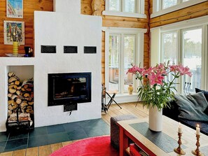 Televisión y chimenea 