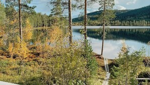 A lakeside view with a wooden deck, surrounded by trees and a clear sky.