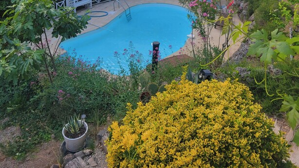 Un patio trasero con piscina, rodeado de exuberante follaje y un pequeño pabellón.