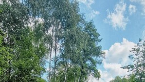 Un terrazzo in legno con un tavolo e panche, circondato dal verde e un edificio rosso sullo sfondo.