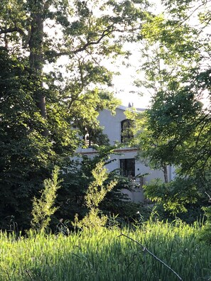 A building surrounded by dense foliage and tall grass.