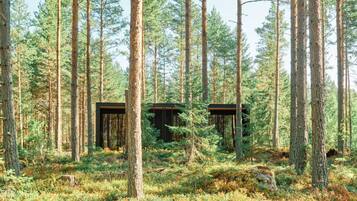 Une forêt avec de grands arbres et deux cabanes en bois.
