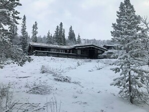 Ulkopuoli