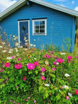 A blue house with a white door and windows, surrounded by a garden with various flowers.