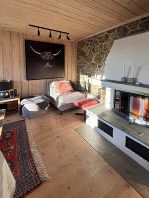 TV, fireplace - Cozy cabin near Beitostølen (Beitostølen)