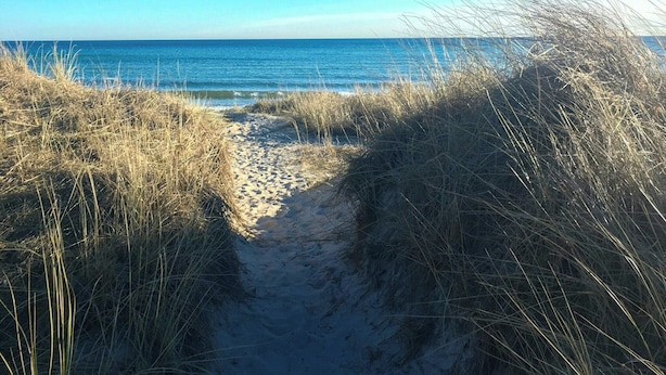 Ein sandiger Pfad führt zum Meer, umgeben von hohem Gras.