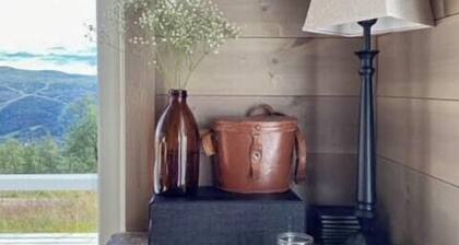 Traditional cabin with views of Hardangervidda