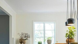 A room with a wooden floor, a sofa, a window, and a plant.