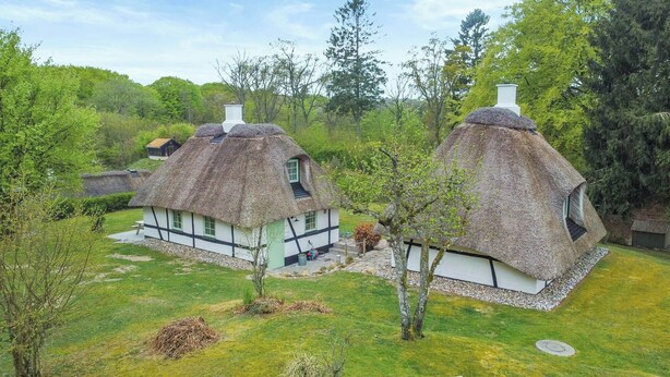 Dos casas de campo con techos de paja, paredes blancas y detalles negros, rodeadas de exuberante vegetación y árboles.