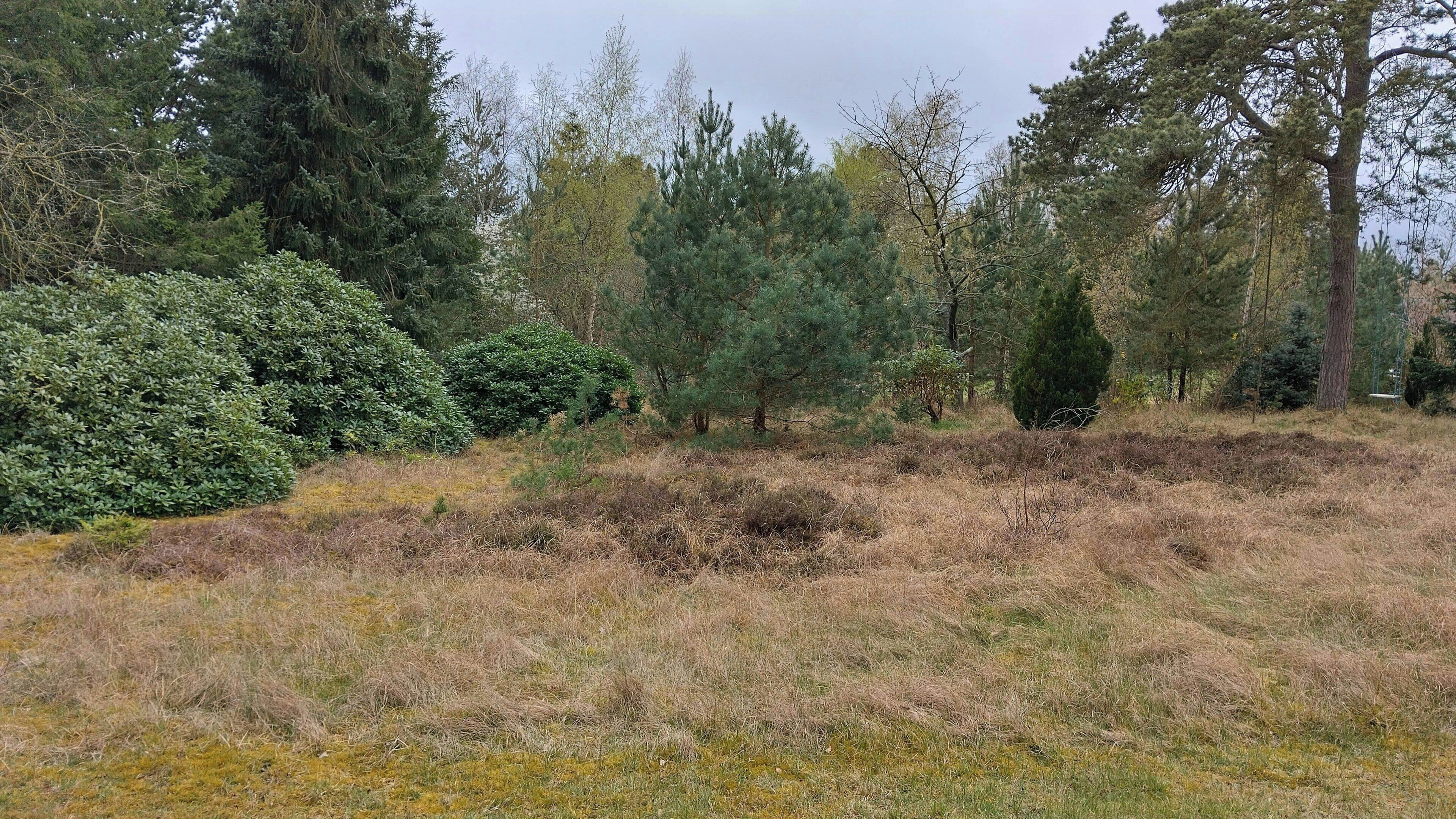 Un paysage naturel caractérisé par une végétation dense et une prairie.