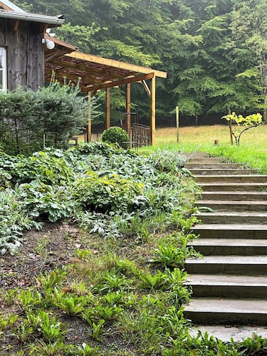 Sustainable cabin in beech forest at Mellby Käsk