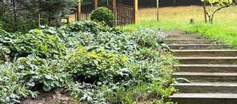 Duurzame hut in het beukenbos bij Mellby Käsk