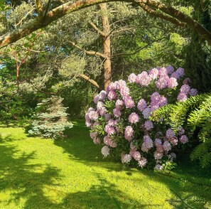 A garden with a variety of trees and flowering shrubs. - Summer house by protected heathland in Ellinge (Højby)